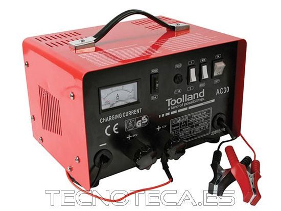 Cargador baterias plomo 12/24V 20A. AC30
