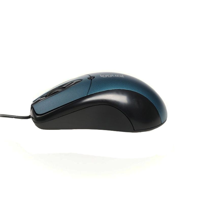IGG317532
