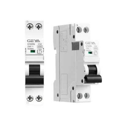 Magnetotérmico 2 polos de 20A DPN